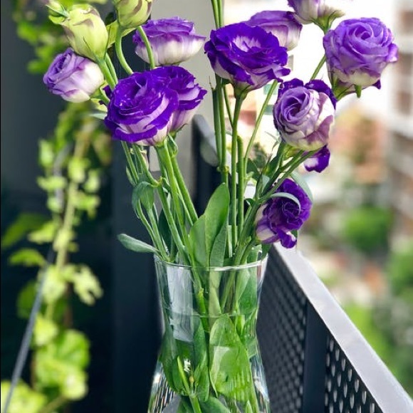 Peace - Picture 2 of 3